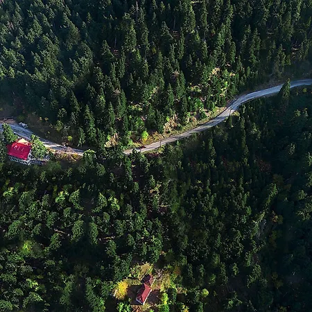 Koutsikouris Otel