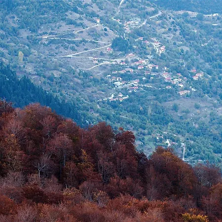 Otel Koutsikouris 2*