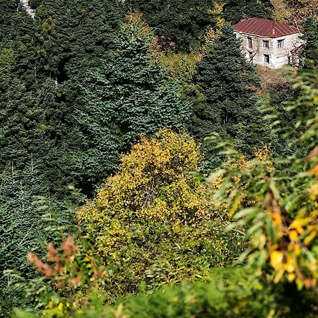 Koutsikouris Otel 2*
