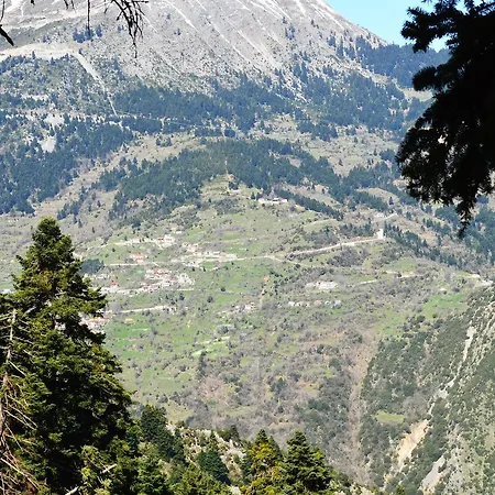 Koutsikouris 2*