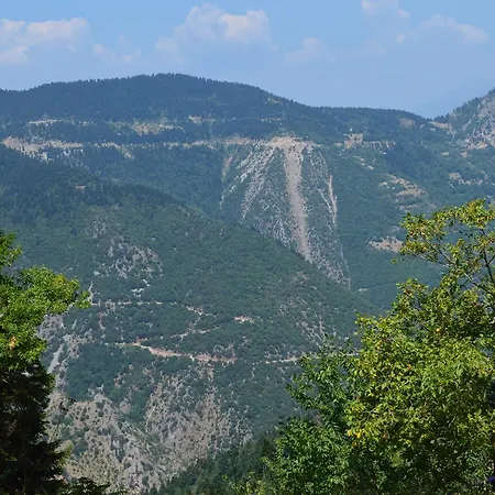 Koutsikouris Platanakos