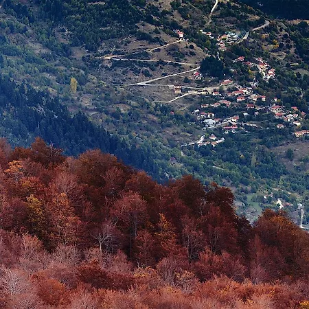 Koutsikouris Otel 2*